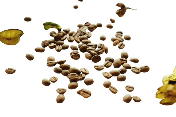 Coffee Background2